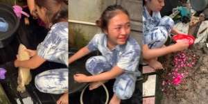 17 Tahun Dipelihara, Pemilik Nangis Pas Tahu Ikan Arwana Kesayangannya Mati: Definisi Ngubur Uang