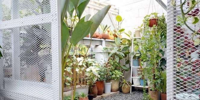 Ide Seru Green House Mini untuk Koleksi Tanaman