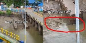 Penasaran Sosok Hewan Diduga Buaya di Bawah Jembatan, Jawaban Netizen Malah Bahas Sifat Manusia