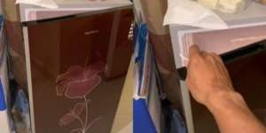Si Pemilik Kelimpungan Cari Kucing Peliharaan, Syok Saat Buka Kulkas...