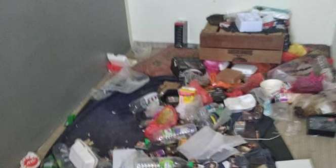 Bikin Geregetan, Penyewa Tinggalkan Rumah Kontrakan Penuh Bangkai Kucing