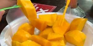 Viral Beli Mangga Rp30 Ribu, Pembeli Dapat Kode Misterius M111990