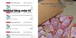 Bumil Iseng Order Barang Rp550 Promo 11.11, Kaget Datang Paket Se-Truk Depan Rumah 