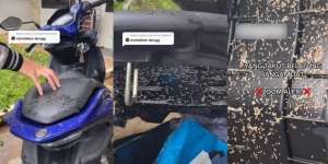 Pria Ini Kaget Saat Buka Bagasi Motor, Isinya Bikin Merinding Sampai Muntah