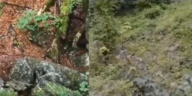 Aksi Prajurit TNI Lakukan Kamuflase di Hutan Sulit Ditebak Bagai Bunglon, Kamu Bisa Menemukan?