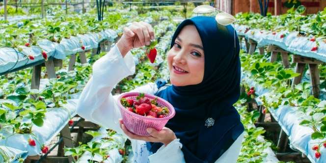 Bahagia Lihat Bakal Buah di Pohon, Baca Doa Ini
