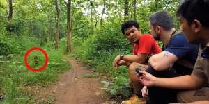 12 Potret Panji Petualang Dihadang Kobra Besar di Hutan, Ukurannya Bikin Bergidik!
