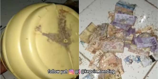 Wanita Ini Nabung Demi Beli Barang Impian, Endingnya Malah Bikin Nyesek!