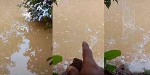 Air Rawa Tampak Tenang dan Bergelembung, Saat Dilempar kerikil Muncul Makhluk Mengerikan