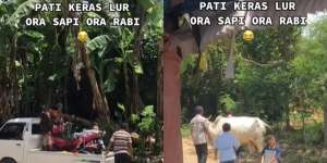 Pria di Pati Bikin Lamaran Besar-besaran, Seserahannya Bikin Melongo!