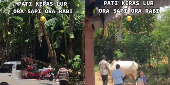 Pria di Pati Bikin Lamaran Besar-besaran, Seserahannya Bikin Melongo!