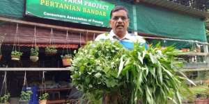Harga Melambung Tinggi, Pria Ini Ajak Tanam Sayur Sendiri
