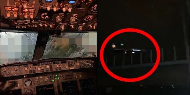 Horor! Penampakan Pesawat Tabrak Burung, Mesinnya Sampai Terbakar