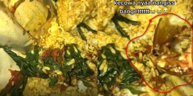 Beli Nasi Padang Dapat Bonus Tak Terduga: Baru Dua Suap Lihat Ada Daun Kering, Ternyata Hewan Menjijikkan