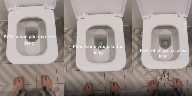 Bikin Geli dan Bergidik, Berdiri Lama Depan Toilet Duduk, Kaki Auto Diserbu Ribuan Makhluk Kecil