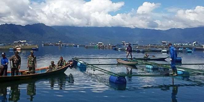Ratusan Ikan di Danau Maninjau Mati Misterius, Diduga Akibat Cuaca