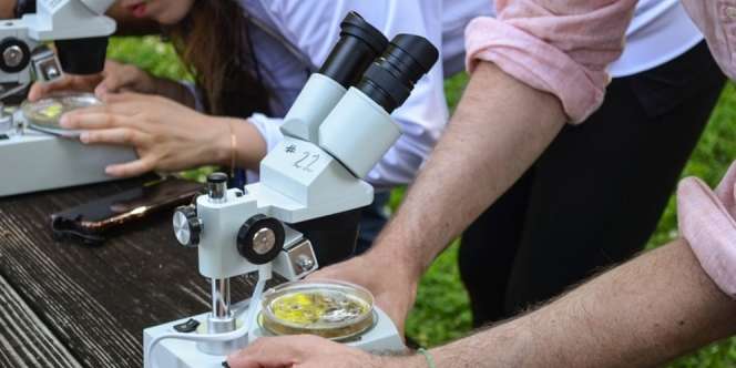 15 Manfaat Mempelajari Biologi bagi Kehidupan dalam Berbagai Bidang