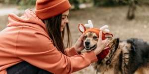 Temukan 11 Arti Mimpi Digigit Anjing yang Perlu Kamu Waspadai!