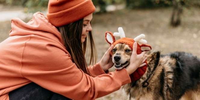Temukan 11 Arti Mimpi Digigit Anjing yang Perlu Kamu Waspadai!