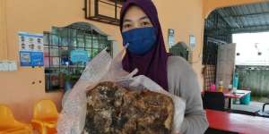 Wanita Ini Lihat Benda Ngambang di Laut Dikira Sampah, Ternyata Barang Mahal