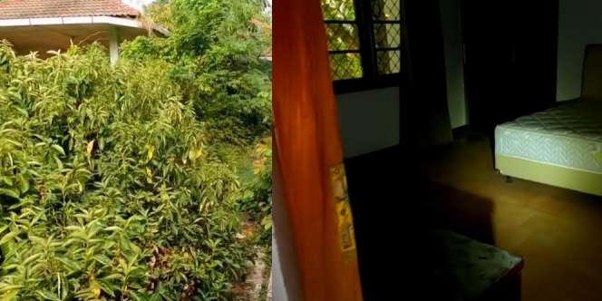 Penampakan Rumah Kosong Terbengkalai Bekas Tempat Ritual Pesugihan di Jakarta, Kini Jadi Sarang Ular Besar