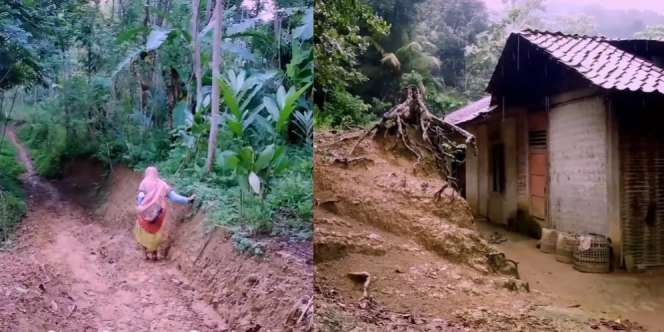 Cerita Nenek 70 Tahun Tinggal di Tengah Hutan, Akses Jalan Sulit Tapi Rumah Ada Parabola