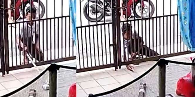 Waspada! CCTV Rekam Aksi Maling Paket yang Tergeletak di Halaman Rumah