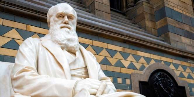Surat Charles Darwin untuk Mantan Dosen Terjual Rp1,5 Miliar, Apa Isinya?