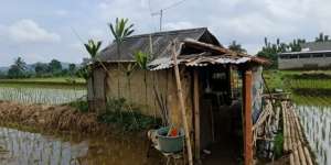 Punya Sawah Hektaran, Kakek Ini Pilih Hidup Sederhana di Gubuk Reot