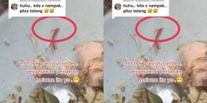 Makan Sudah Hampir Habis Semangkuk, Auto Muntah Lihat Ada Makhluk Kecil Gerak-Gerak di Atas Irisan Cabe