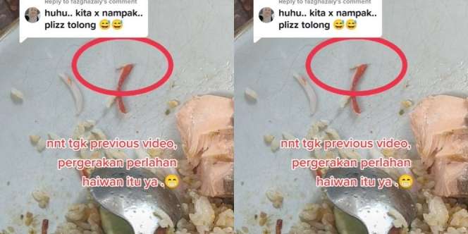 Makan Sudah Hampir Habis Semangkuk, Auto Muntah Lihat Ada Makhluk Kecil Gerak-Gerak di Atas Irisan Cabe