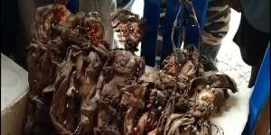 Temuan 5 Boneka Terbungkus Kain Kafan dan Tertusuk Jarum Gegerkan Luwu