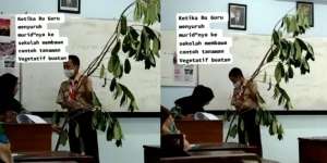 Disuruh Bu Guru Bawa Contoh Tanaman, Murid Ini Malah Gotong Pohon Utuh ke Dalam Kelas
