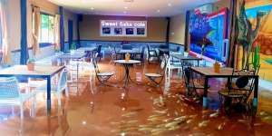 Ngopi Cantik Ditemani Ikan Koi Lucu di Kafe Ini, Dijamin Betah