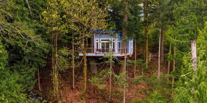 Rumah Pohon Tengah Hutan, Interiornya Bikin Mager