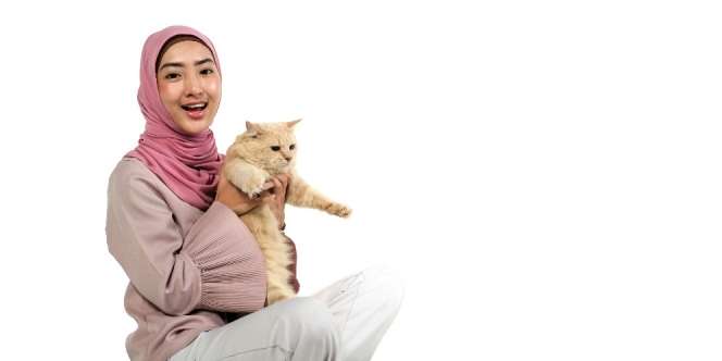Hobi Pemelihara Kucing Meningkat di Masa Pandemi, Bisa Jaga Kesehatan Mental