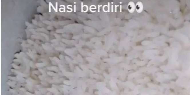 Ditonton 5 Juta Kali, Penampakan Nasi Berdiri Usai Dimasak