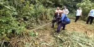 Ular Piton 3,5 Meter Muncul di Pemukiman Warga Cibinong