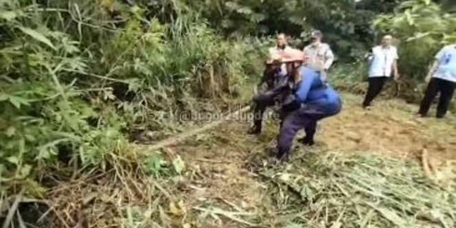 Ular Piton 3,5 Meter Muncul di Pemukiman Warga Cibinong