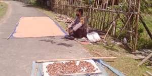 Polisi Ini Rela Jaga Jemuran Gabah Demi Warga Mau Ikut Vaksinasi