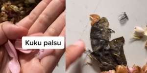 Kembalikan Semua Barang Meski Sudah Busuk, Aksi Pengantin Bikin MUA Terheran-heran!