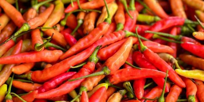 Bukan Biji, Ternyata Ini Bagian Paling Pedas di Cabai