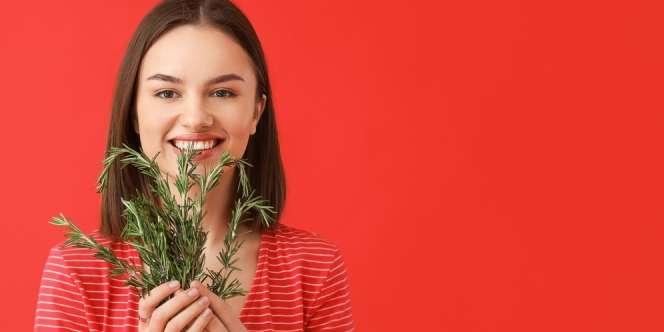Manfaat Minyak Rosemary untuk Rambut Sehat