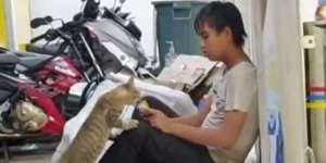 Aksi Haru Pemulung Beri Makan Kucing Liar, 'Orang Kaya Sesungguhnya'