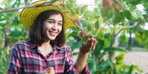 9 Manfaat Daun Murbei untuk Wajah, Solusi Percantik Diri Secara Alami