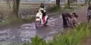 Rusak Parah Tak Juga Diperbaiki, Jalan di Jember Berubah Jadi Sawah