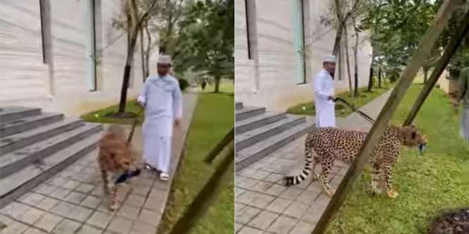 Heboh Ustaz Das'ad Latif Tuntun Macan Tutul