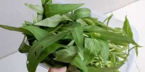 6 Manfaat Sayur Kangkung untuk Diet, Beserta Efek Samping Mengonsumsinya