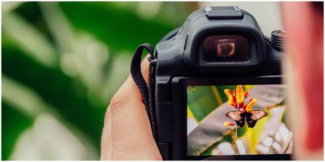 Hukum Foto dalam Islam Bisa Haram Jika Mengandung Unsur Fitnah