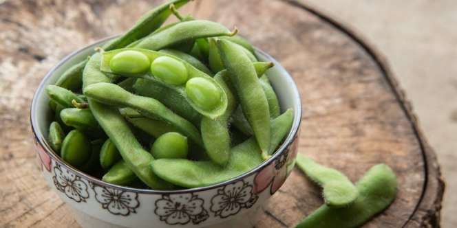 Coba Bikin Tempe Rasa Baru, Pakai Kacang Edamame